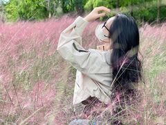 -黄海国家森林公园