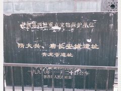 -西安乐游原