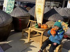 -苏州市吴中区光福窑上花果蜜饯厂