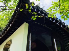 -秋霞圃