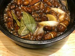 压锅酒香蚕蛹-老江南春·中国龙菜(衡山路店)