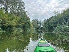 -黄海国家森林公园