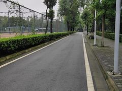 -四川大学(望江校区)