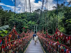 -西双版纳原始森林公园