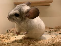 -龙猫仔乐园(惠福东路店)