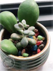 点击看大图 -尚艺造型.剪烫染.接发