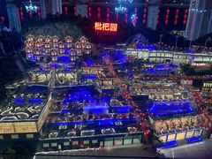 -枇杷园食为鲜火锅(南山店)