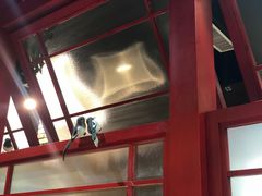 -满园烤鸭·春饼(太原街万达店)
