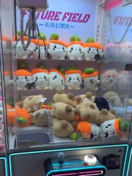 -卡通尼乐园(上海安亭店)