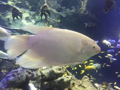 -成都浩海立方海洋公园