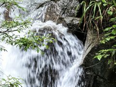 -炎陵县神农谷国家森林公园