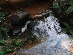 -火炉山森林公园