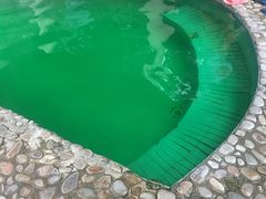 -喜运来温泉大酒店