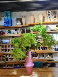 -今日陶艺(富力广场店)