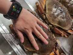 -丰卓会海鲜自助(中润大道店)
