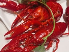 -杨氏青龙虾·羊蝎子(金盛路总店)