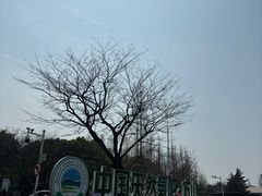 -南京市江宁方山