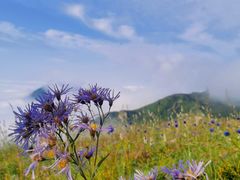 -白草畔自然风景区