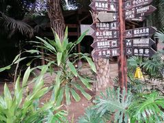 -龙达温泉生态城