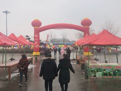 -藁城北服务区-停车场