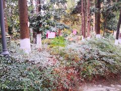 -成都市活水公园