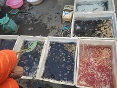-哈尔滨道外花鸟鱼市场