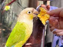 -镇江市南山风景名胜区竹林景区