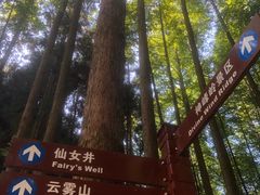 -山王坪喀斯特国家生态公园