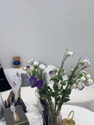 -WENDY·温迪皮肤管理