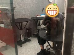 -宠物家(角门东店)