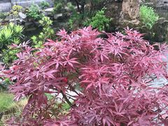 -绿色菜园·农家土菜(贤山店)