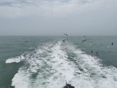 -海驴岛(荣成市)