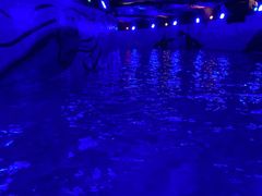 -青岛东方影都融创水世界