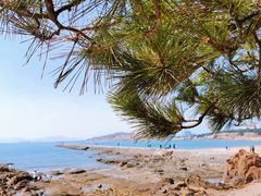 -青岛第二海水浴场