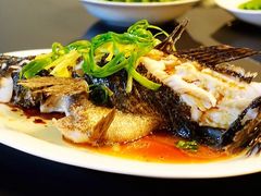 -苏浙汇(朝外店)