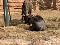 -郑州银基黄帝宫御温泉