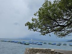-抚仙湖禄充风景区