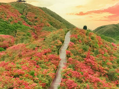 -大围山国家森林公园