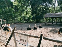 -秦皇岛野生动物园