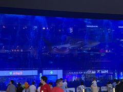 -成都浩海立方海洋公园