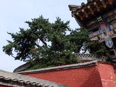 -五台山风景名胜区-罗睺寺