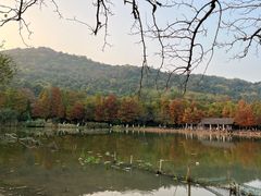 -八卦田遗址公园