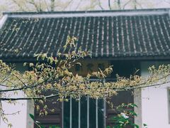 -虎跑公园