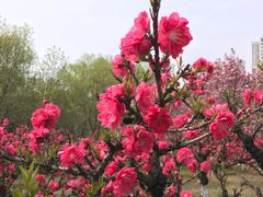 -白塘生态植物园