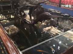 -大天然酒店(军民路店)