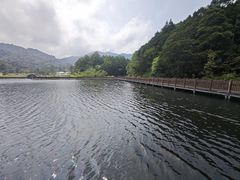 -海南热带雨林国家公园吊罗山景区