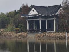 -映月湖公园