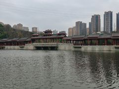 -重庆彩云湖湿地公园