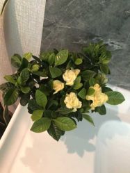 点击看大图 -嫒多泉产后健康管理中心(沙坪坝三峡广场店)