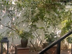 -云里小坐·小院里·团建·宴请·下午茶(三圣乡店)